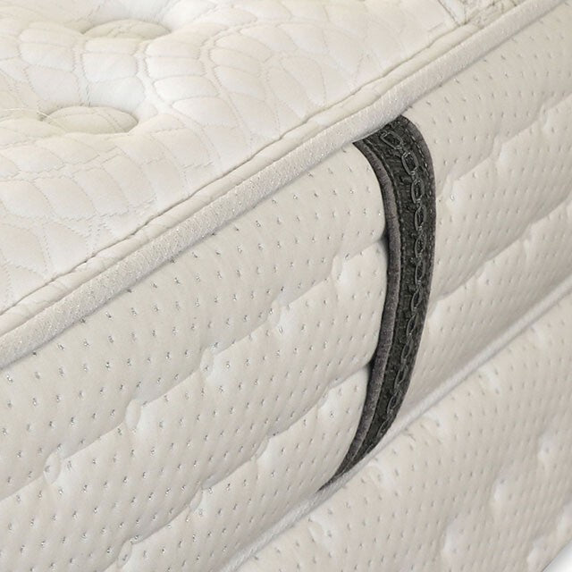 Furniture of America Alyssum DM1570CK-M Cal.King Mattress IMAGE 4