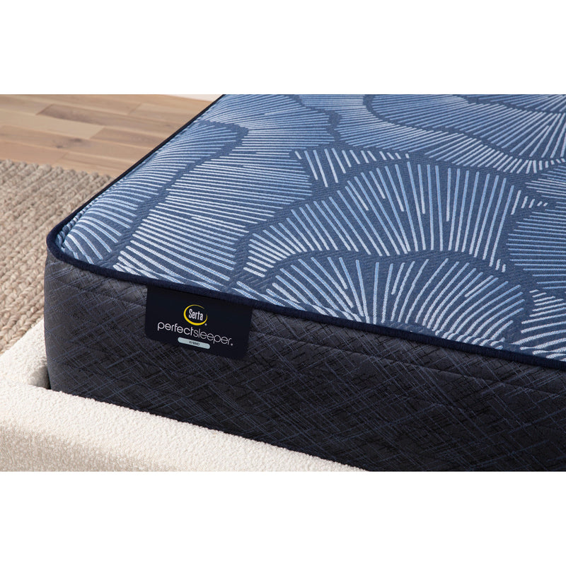 Serta Euphoric Nights Firm Mattress (Queen) IMAGE 4