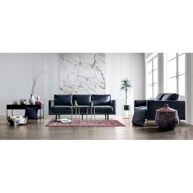 Furniture of America Mezzanotte Sofa FM90000-SF-PK IMAGE 2